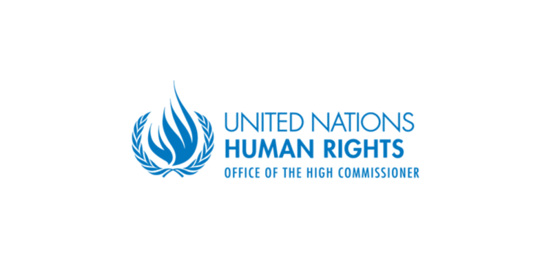 Nations-Unies-Droits-De-LHomme-1